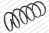 PEUGE 5002HA Coil Spring